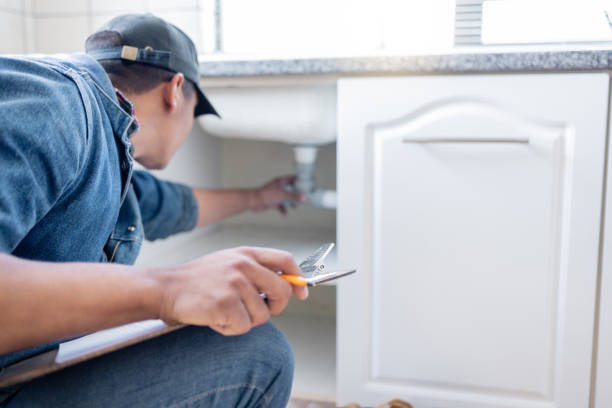 Best Plumbing Repair Near Me  in Swansea, IL