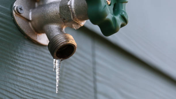 Best Affordable Plumber Near Me  in Swansea, IL