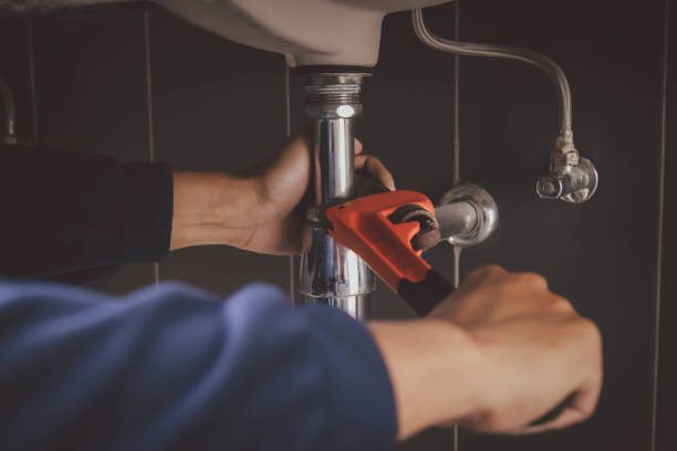 Best Leak Detection Services  in Swansea, IL